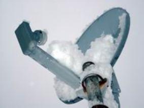 Sow on dish