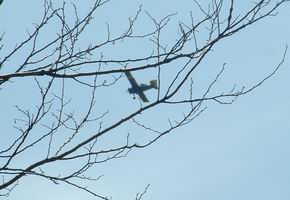 plane 4