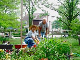 planting 2