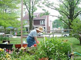 Planting 3