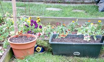plants 2