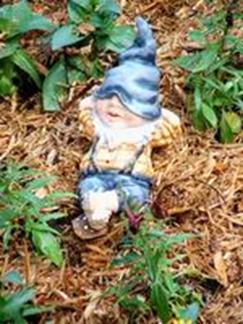gnome 2