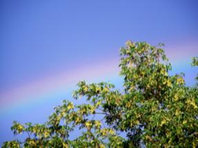 rainbow1