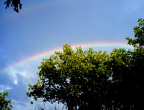 rainbow2