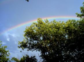 rainbow4