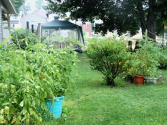 garden2