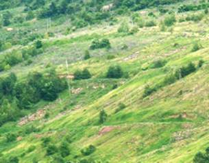 mountain4