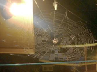 spider3