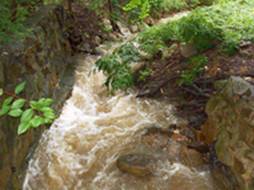 creek2