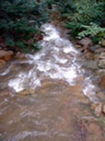 creek5