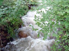 creek7
