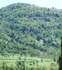 mountain7